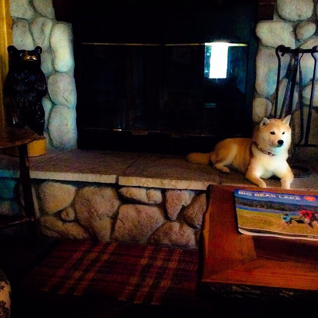 FBSPORTS-_爵士队攻防一体,排名稳步提升_,爵士队员阵容