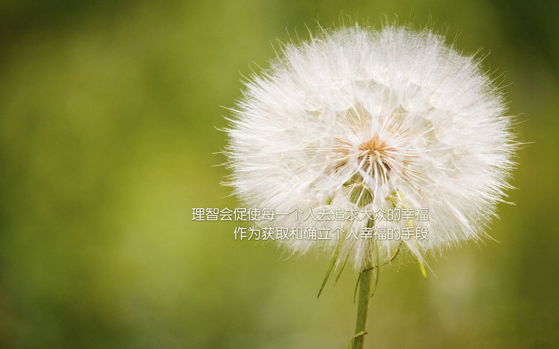 FB体育入口-_老鹰快攻突击，场面激烈精彩_，老鹰最快速度