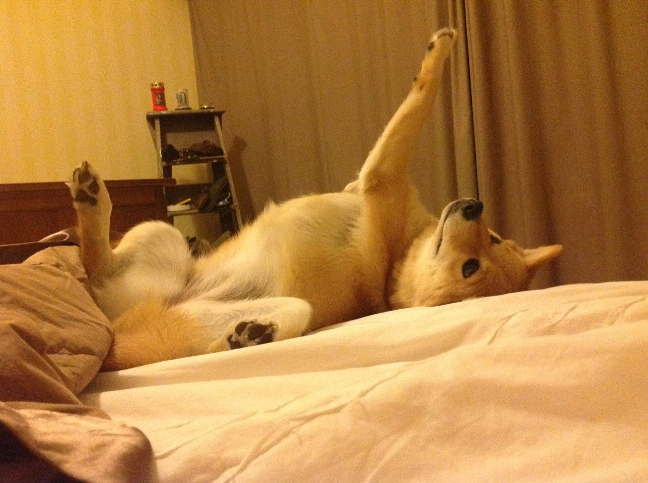 FB体育登录入口-“激烈追逐：车队之间的巅峰对决”，激烈的追逐英语