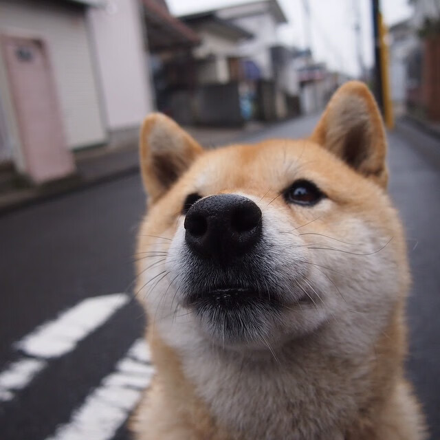 FB体育注册网址-“青训场地全面升级，满足日益增长的训练需求”，青训要求