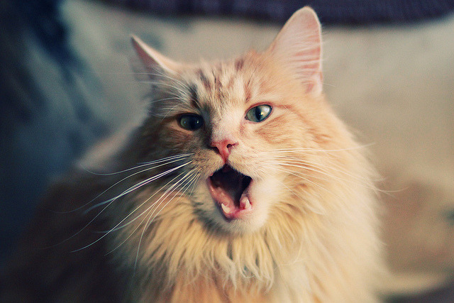 FB体育官网-足球直播间加入球迷弹幕互动新功能,足球直播间加入球迷弹幕互动新功能是什么