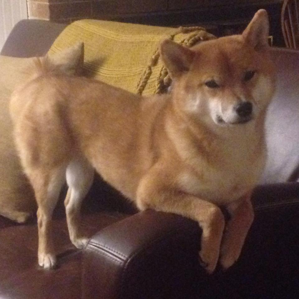 fb体育app官网-青少年篮球夏令营,培养未来篮球明星,青少年篮球培训招生