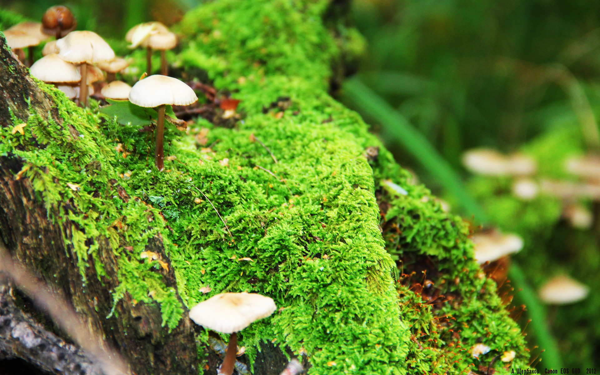 FB体育登录入口-中国女足在世界杯赛场上取得好成绩，中国女足赢世界杯冠军