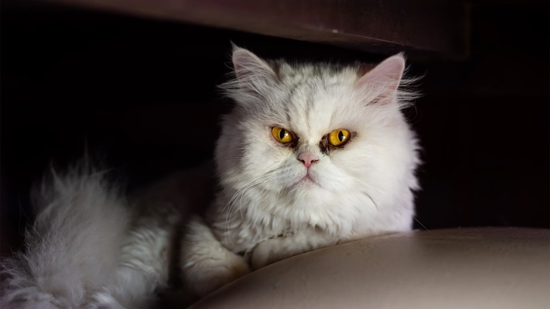 fb体育网址-女足欧洲锦标赛赛程公布,欧洲女足预选赛ds