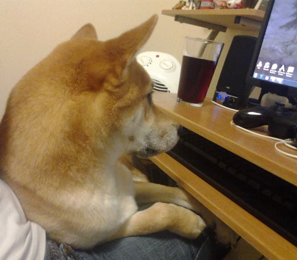 FB体育app下载-悬念重重:太阳对独行侠的比赛或将将逆转胜利,2021年2月2日太阳vs独行侠