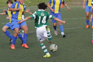 FBSPORTS-中国足球高密度传控战术回合成功统计，中国足球高密度传控战术回合成功统计