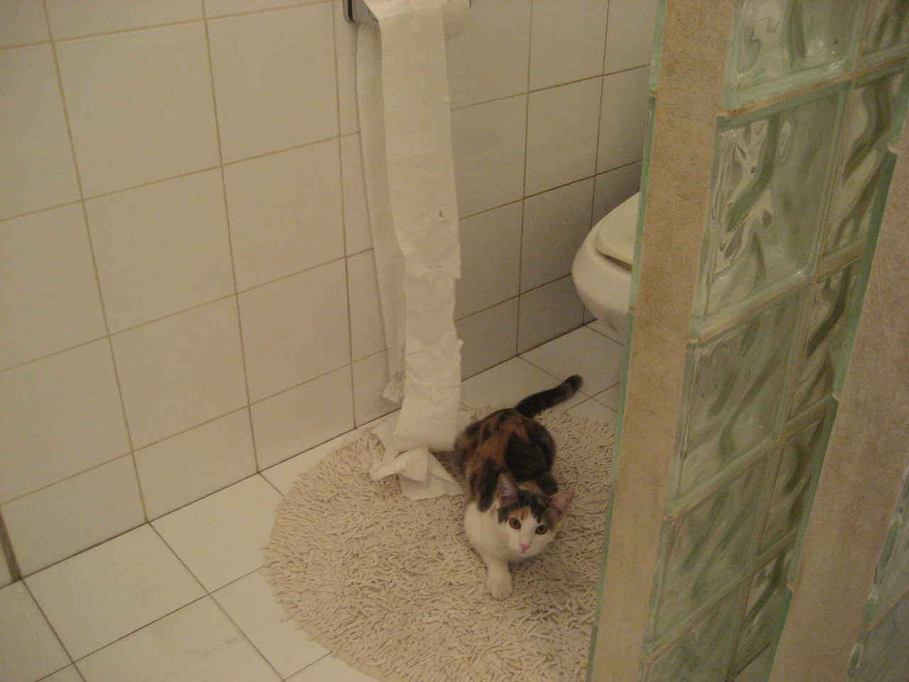 FBSPORTS-全国青少年高尔夫挑战赛在江苏顺利举行,全国青少年高尔夫球精英赛