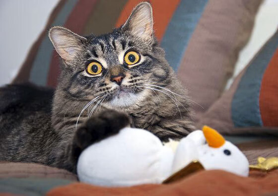 FB体育在线直播平台-欧冠淘汰赛:预热比赛分析,谁能闯入四强?,欧冠淘汰赛规则改变