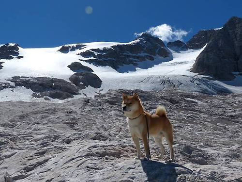FB体育在线直播平台-欧冠淘汰赛:预热比赛分析,谁能闯入四强?,欧冠淘汰赛规则改变