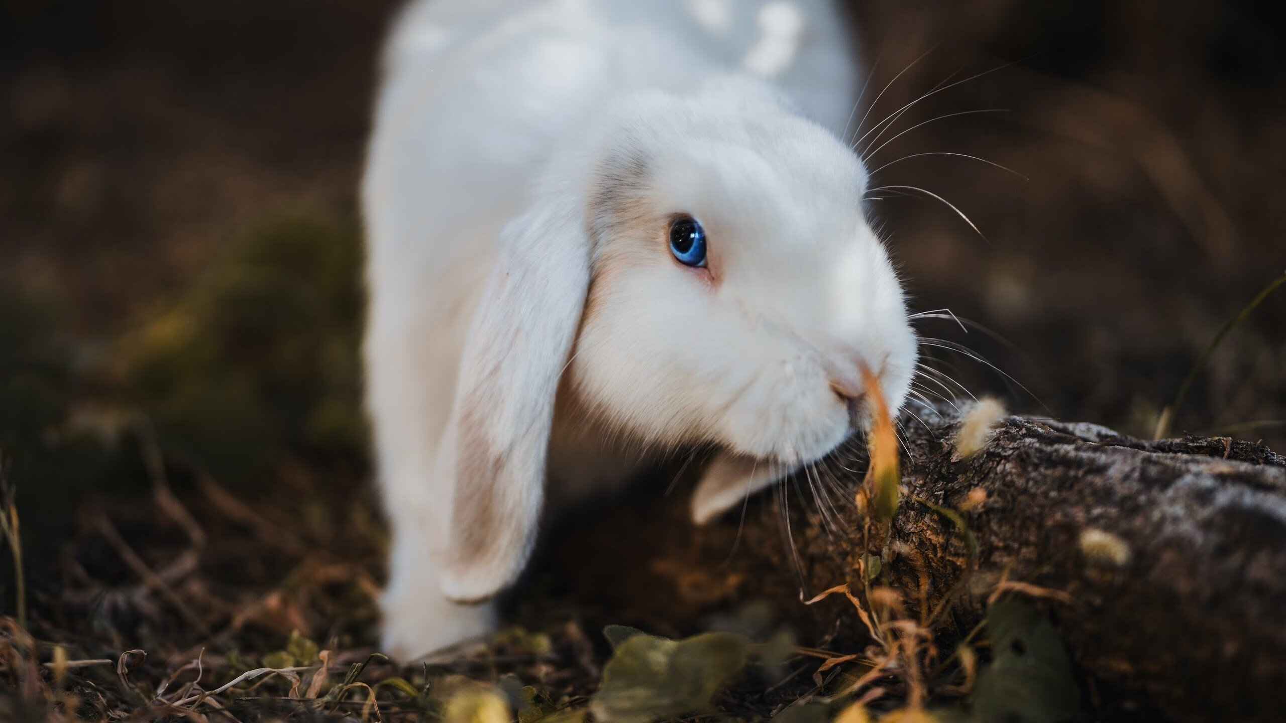 FB体育APP-体育新闻中心协办体育主题视觉创作训练营,体育新闻摄影