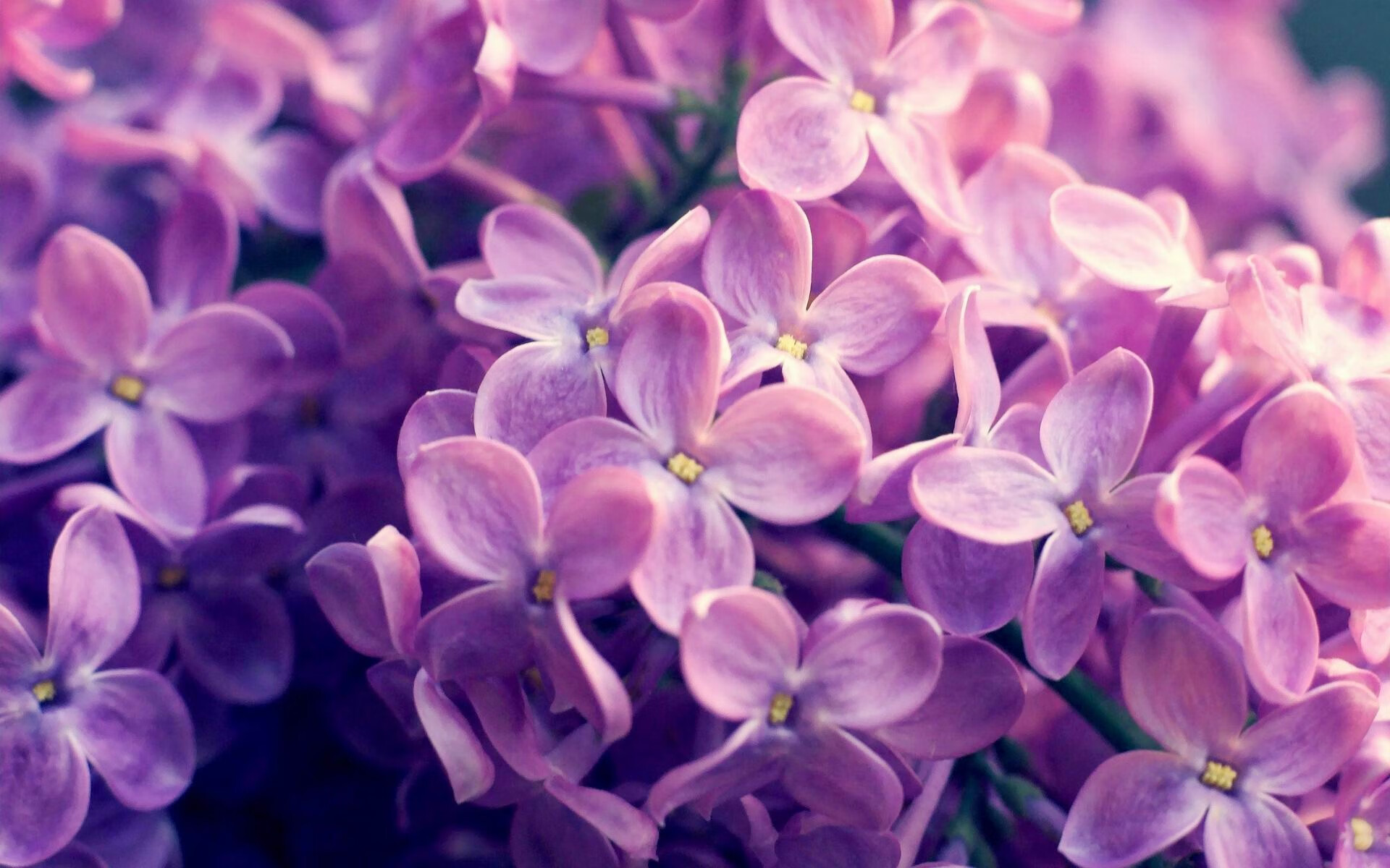 FB体育官网平台-全国高校排球锦标赛激战正酣多队爆冷,2021高校排球比赛